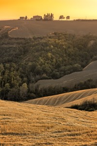 Looking over a small hillside farm